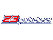 23 quarter horses