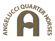 angelucci